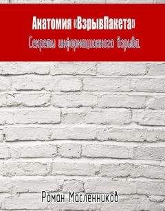 Роман Масленников - Анатомия «ВзрывПакета». Секреты информационного взрыва