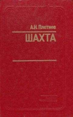 Александр Плетнёв - Шахта