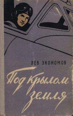 Лев Экономов - Под крылом земля