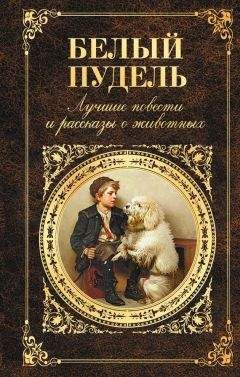 Иван Тургенев - Белый пудель. Лучшие повести и рассказы о животных (сборник)
