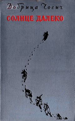 Добрица Чосич - Солнце далеко