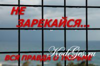 Владимир Ажиппо - Не зарекайся