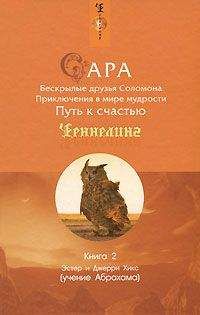 Эстер Хикс - Сара. Книга 2. Бескрылые друзья Соломона