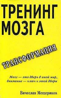 Вячеслав Мещеряков - Тренинг мозга