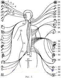 Г. Гогохия - Здоровье в три шага (Базовый курс системы М. Норбекова)