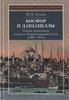 Юлия Лунева - Босфор и Дарданеллы. Тайные провокации накануне Первой мировой войны (1908–1914)