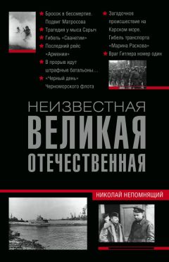 Николай Непомнящий - Неизвестная Великая Отечественная