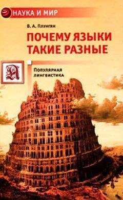 Владимир Плунгян - Почему языки такие разные. Популярная лингвистика