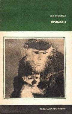 Эман Фридман - Приматы