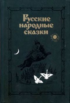 Владимир Аникин - Русские народные сказки