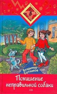 Владимир Сотников - Похищение неправильной собаки