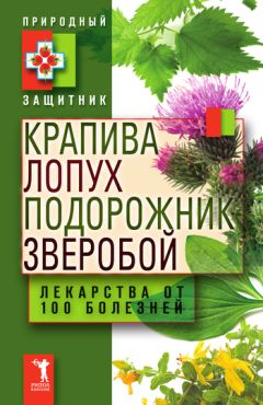 Юлия Николаева - Крапива, лопух, подорожник, зверобой. Лекарства от 100 болезней