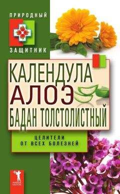 Ю. Николаева - Календула, алоэ и бадан толстолистный — целители от всех болезней