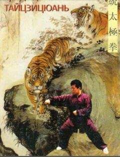 Артемьев Д.А. - Традиционный тайцзицюань