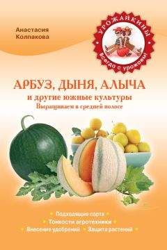 Анастасия Колпакова - Арбуз, дыня, алыча и другие южные культуры. Выращиваем в средней полосе