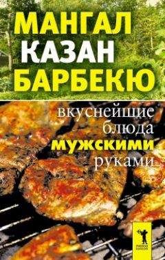Ирина Зайцева - Мангал, казан, барбекю. Вкуснейшие блюда мужскими руками