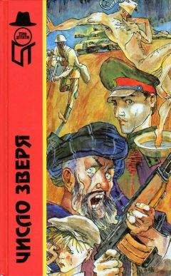 Андрей Баширов - По ту сторону Гиндукуша