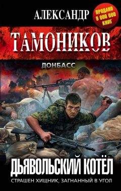 Александр Тамоников - Дьявольский котёл