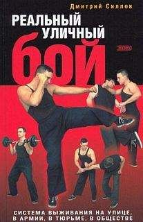 Дмитрий Силлов - Реальный уличный бой. Система выживания на улице, в армии, в тюрьме, в обществе