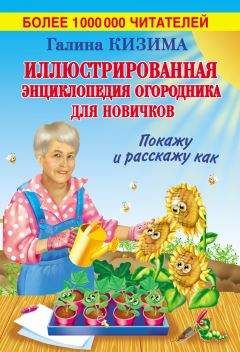 Галина Кизима - Иллюстрированная энциклопедия огородника для новичков