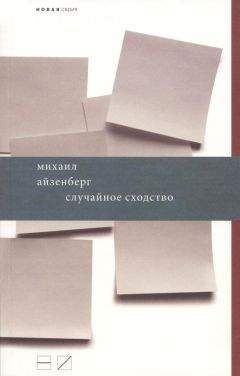 Михаил Айзенберг - Случайное сходство