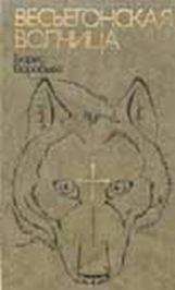 Борис Воробьев - Весьёгонская волчица