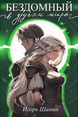 Бездомный в другом мире (СИ) - Шамин Игорь