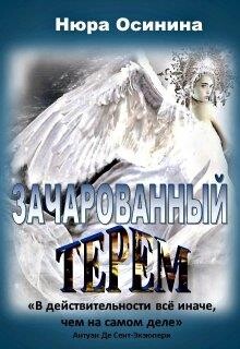 Зачарованный терем (СИ) - Осинина Нюра