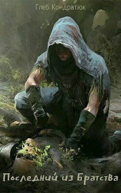Последний из Братства. Открытый мир (СИ) - Кондратюк Глеб