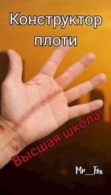 Высшая школа (СИ) - Mr_Fox