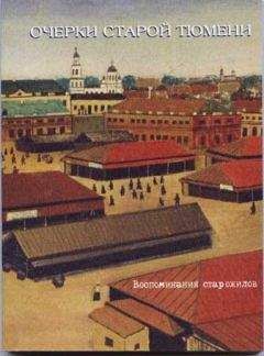 Лев Боярский - Очерки старой Тюмени