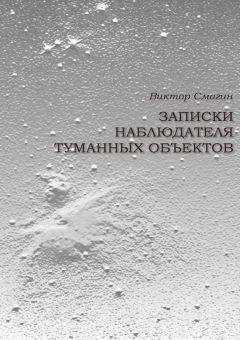 Виктор Смагин - Записки наблюдателя туманных объектов