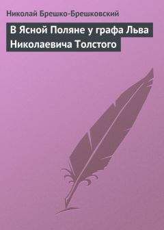 Николай Брешко-Брешковский - В Ясной Поляне у графа Льва Николаевича Толстого