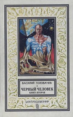 Василий Головачев - Черный человек. Книга 2