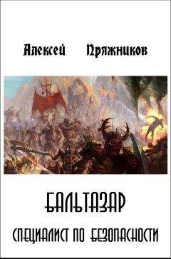 Алексей Пряжников - Бальтазар. Специалист по безопасности