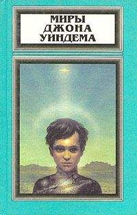 Джон Уиндем - Метеор