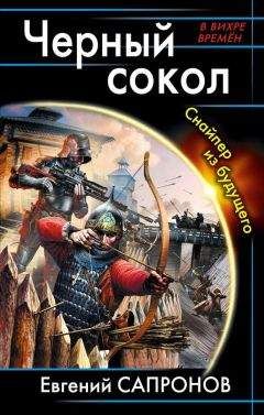 Евгений Сапронов - Черный сокол. Снайпер из будущего